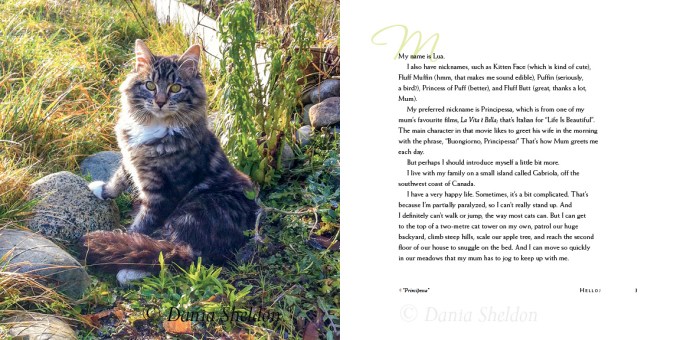 The-Book-of-Lua-pgs2-3