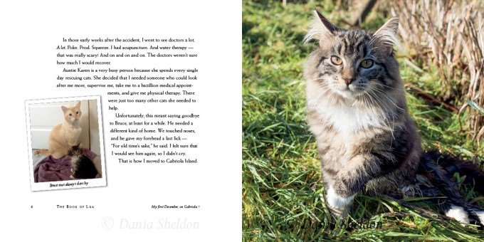 The-Book-of-Lua-pgs6-7